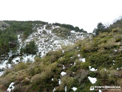 Chorro o Chorrera de San Mamés; hiking; montañas; rutas; power walking madrid;arbol tejo